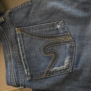 Citizens of humanity